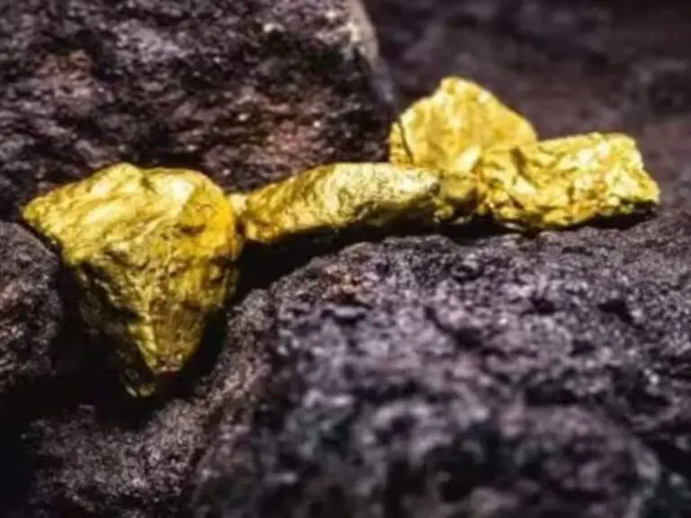 छत्तीसगढ़ ब्रेकिंग न्यूज़: बलौदाबाजार के सोनाखान में राज्य की पहली ...