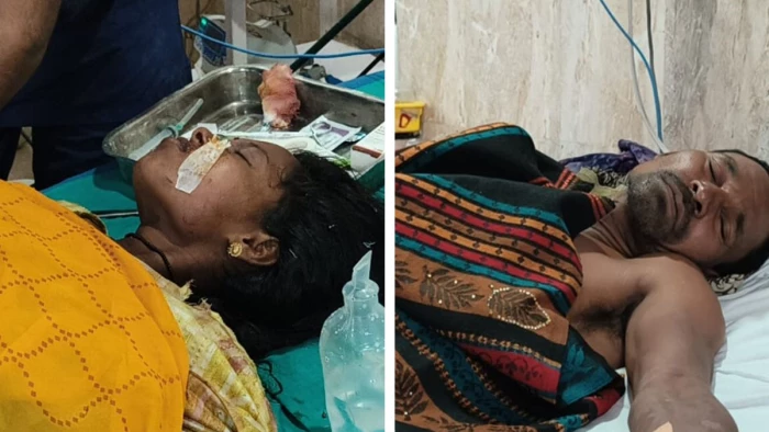 जंगल में मौत से सामना: तेंदूपत्ता तोड़ रहे ग्रामीणों पर जंगली सूअर ...
