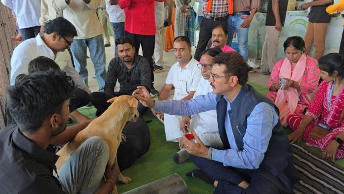 Unique Initiative: आवारा कुत्तों की 'आरती और तिलक' के साथ नसबंदी अभ...