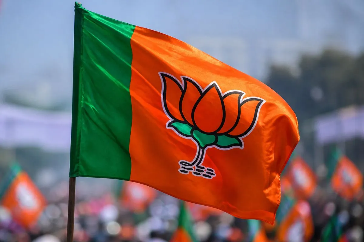 CG BJP Update: भाजपा की राष्ट्रीय कार्यकारिणी में छत्तीसगढ़ का बढ़ेगा कद, कई चेहरों को मिल सकती है बड़ी जिम्मेदारी
