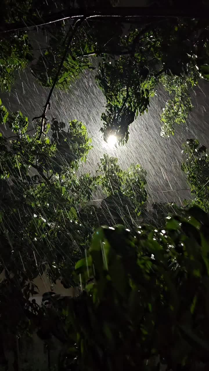 Chhattisgarh Weather Update: रायपुर समेत कई जिलों में झमाझम बारिश, आंधी-तूफान से अचानक बदला मौसम, भीषण गर्मी से मिली राहत