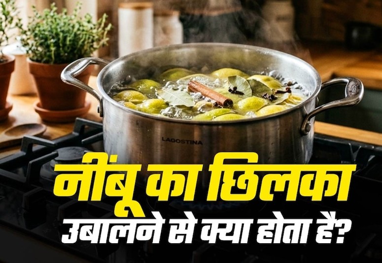 दालचीनी और नींबू के छिलके से महकाएं घर, ऐसे बनाएं आसान होम फ्रेशनर