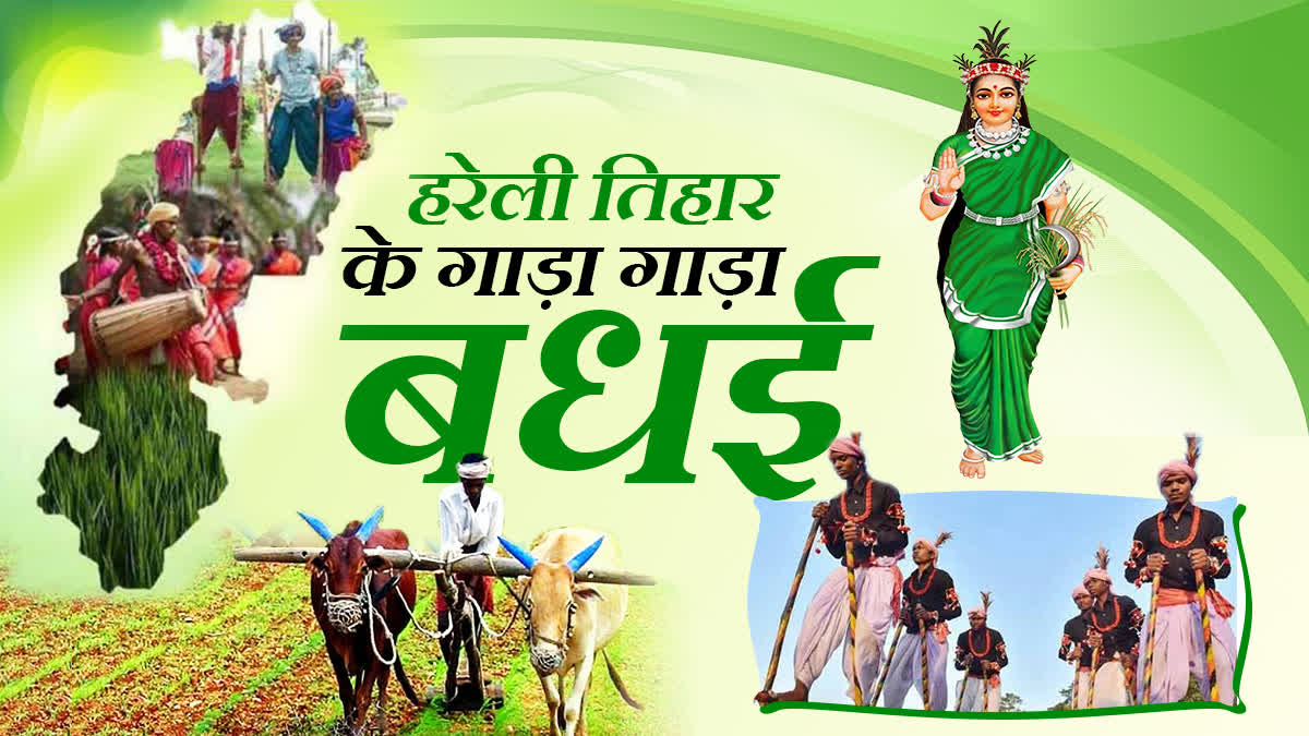हरेली तिहार: छत्तीसगढ़ का पहला त्योहार, जानिए गेंड़ी और रहचुली झूले से जुड़ी खास परंपराएं