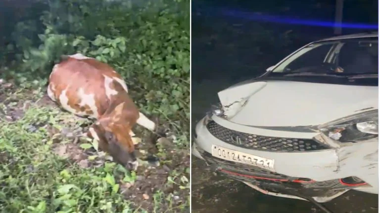 तेज रफ्तार कार ने 4 मवेशियों को मारी टक्कर, 3 की मौत; नशे में था चालक
