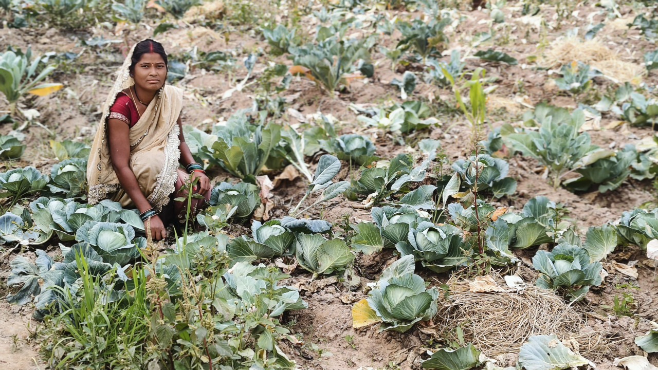 Mahtari Vandan Yojana: हर महीने ₹1000 से ईश्वरी ने संवारी सब्जी-बाड़ी, अब परिवार की आमदनी बढ़ाने में बनीं भागीदार
