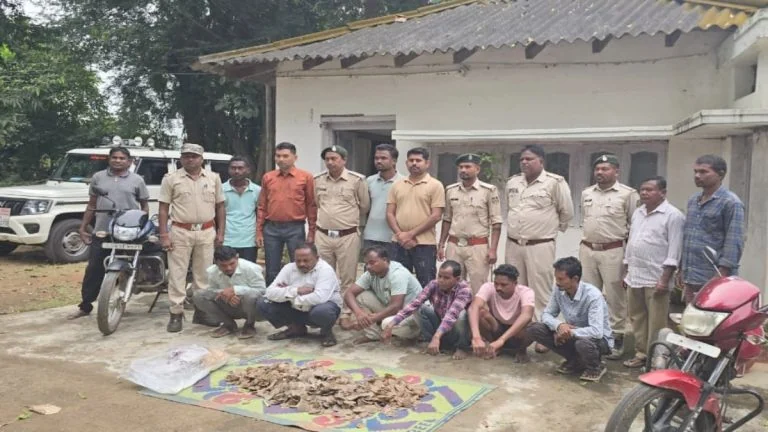 पैंगोलिन तस्करी का बड़ा खुलासा, 14 किलो खाल और शल्क के साथ 6 आरोपी गिरफ्तार